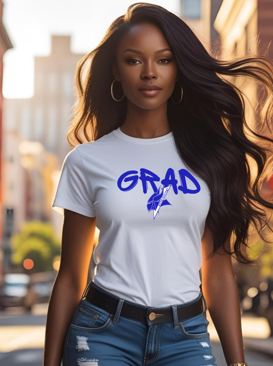 Grad Viking