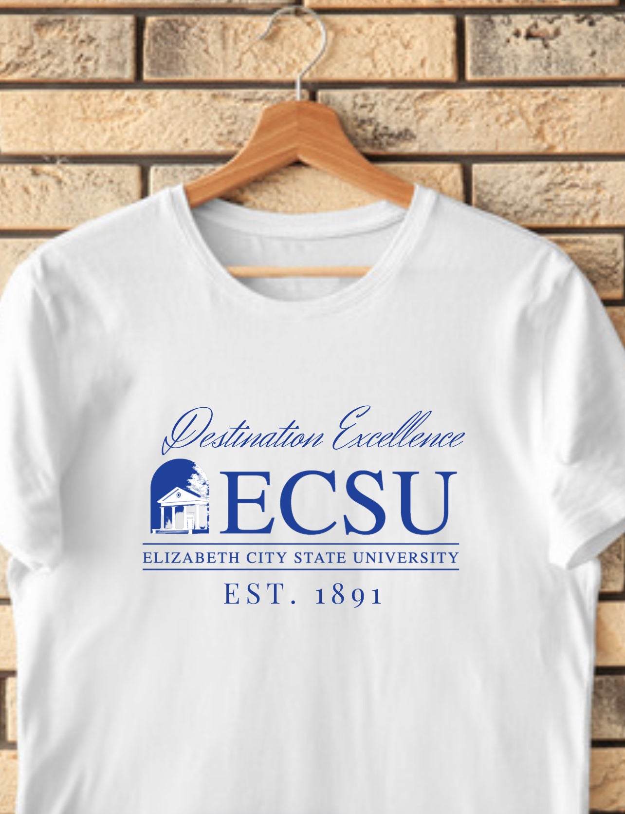 Dedication to Excellence - ECSU Logo